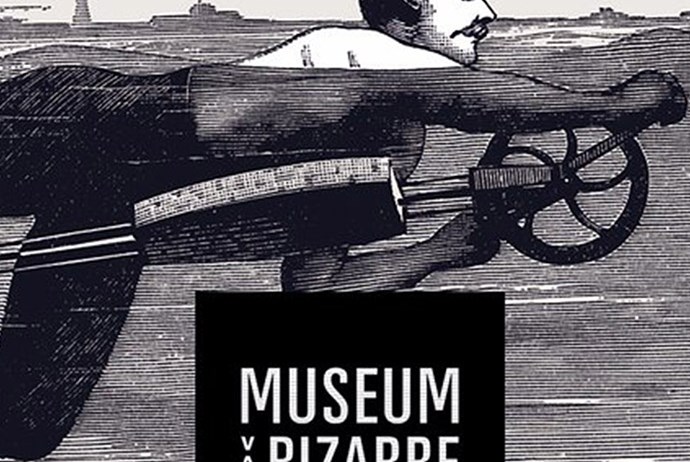 Bizarium museum echt een bezoekje waard bij een dagje uit in Sluis