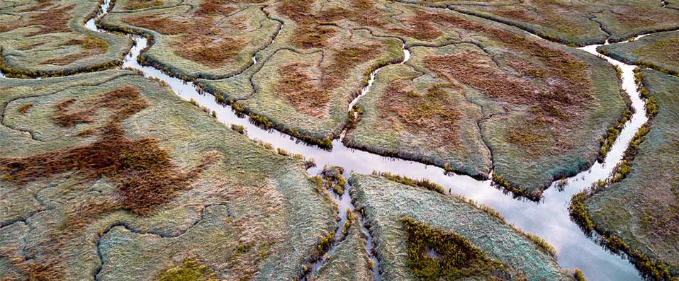 Wandelen in het Verdronken Land van Saeftinghe