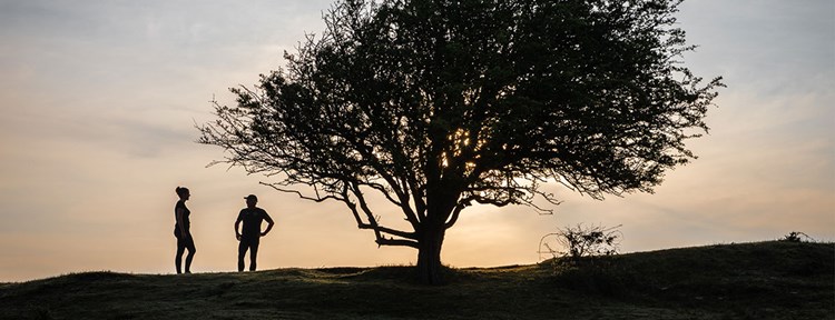 Zonsondergang met boom en twee mensen in Oranjezon, Zeeland
