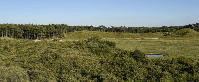 Wandelen in natuurgebied Oranjezon, het meest afwisselende kustgebied van Zeeland