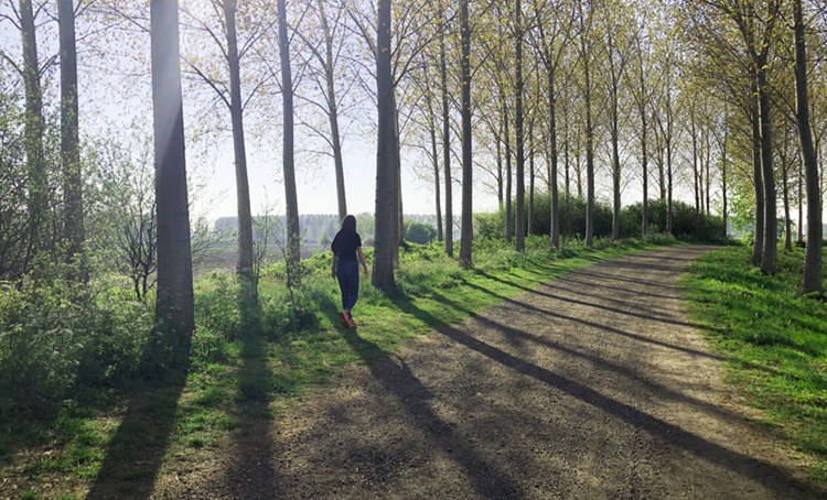 Een vrouw wandelt tussen een zonnige bomenlaan