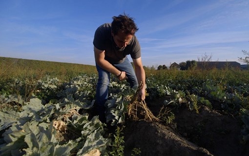 Mariahoeve Provincie Zeeland