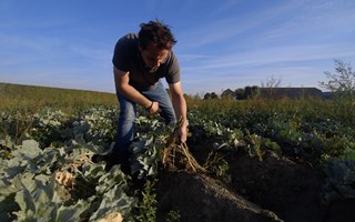 Mariahoeve Provincie Zeeland