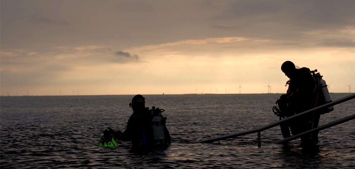 Duiken bij zonsopkomst bij de Zeelandbrug in Zeeland
