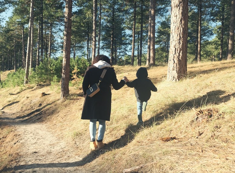 boswachterij-westerschouwen-wandelroute