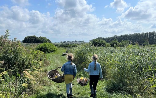 hof-hazenberg-pluktuin-aagtekerke