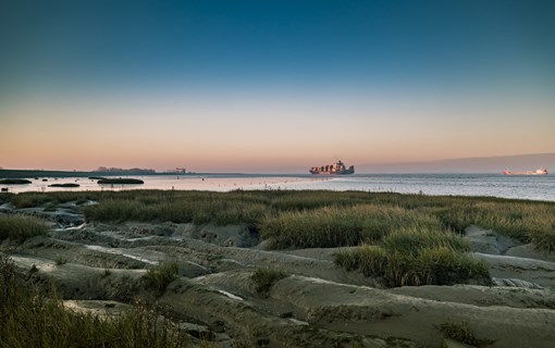 Grenspark Groot Saeftinghe