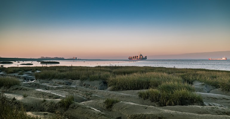 Grenspark Groot Saeftinghe