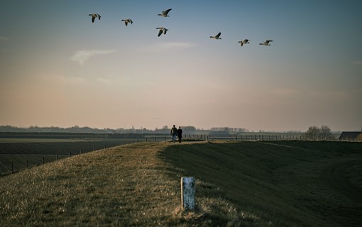Grenspark Groot Saeftinghe