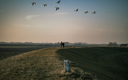Grenspark Groot Saeftinghe Wandel_dijk_recreatie