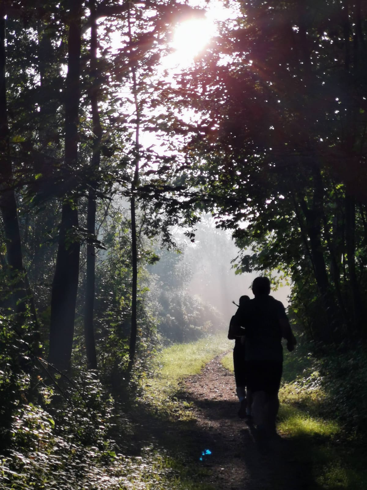 Hardlopen in de Zeeuwse bossen