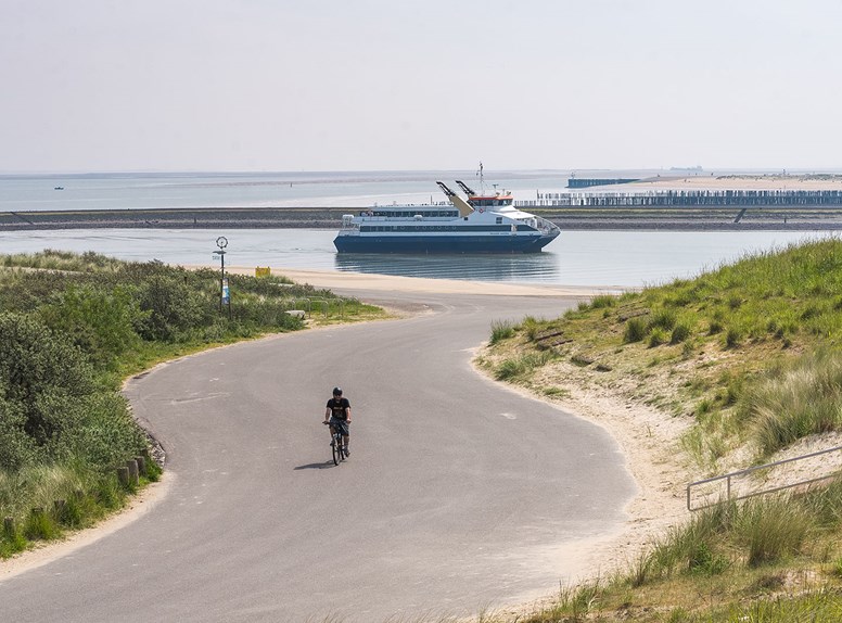 Fietser met op de achtergrond de Westerschelde Ferry