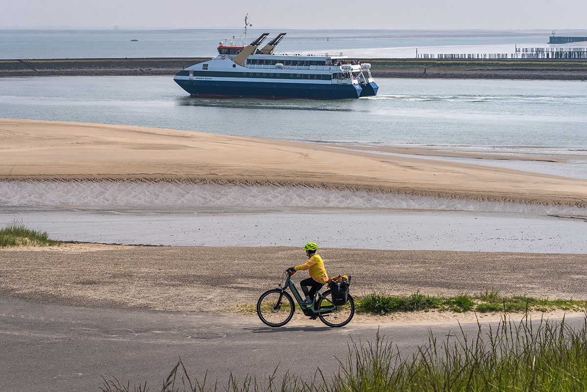 Westerschelde Ferry gezien vanaf de kust bij Breskens