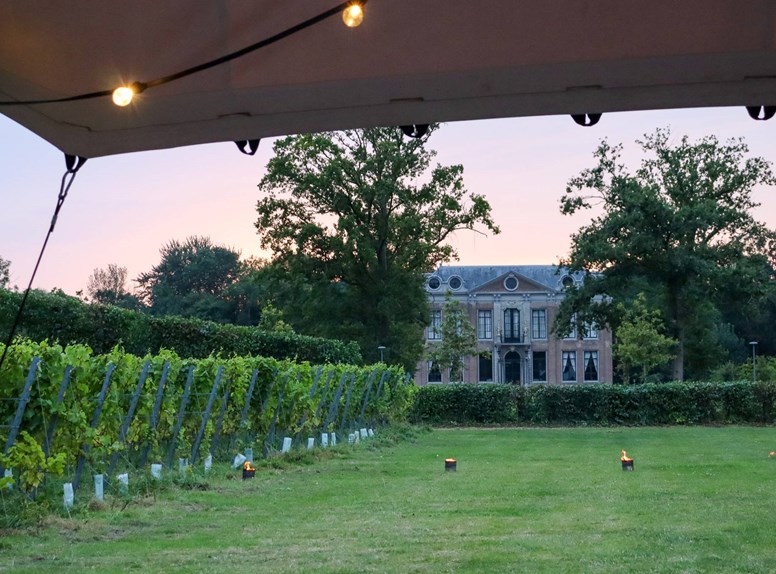 Weingut Wijndomein De Boe
