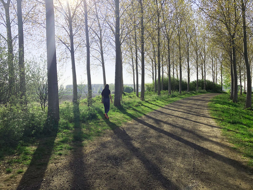 Een vrouw wandelt tussen een zonnige bomenlaan